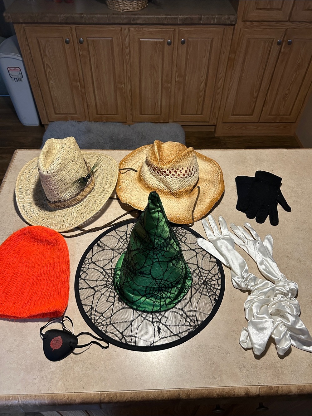 HALLOWEEN ACCESSORIES - Your Pick!